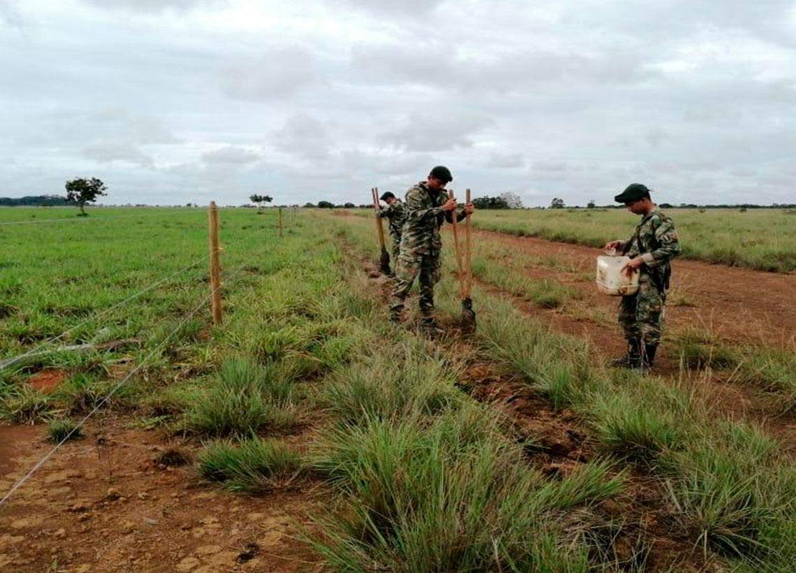 Ejército Nacional siembra 3.000 árboles en Cumaribo, Vichada