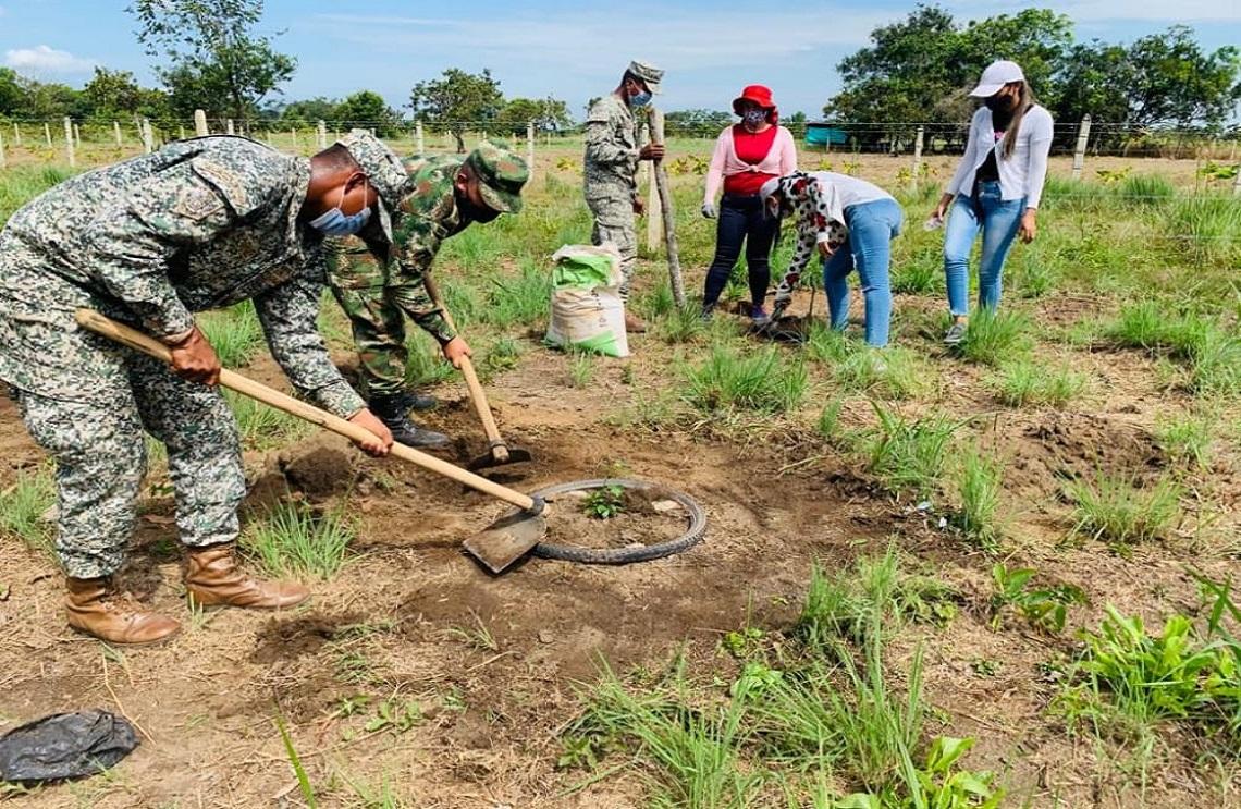 Las Fuerzas Militares apoyan la creación de huerta casera en hogares sustitutos del Guaviare