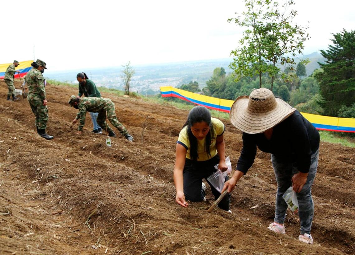 Armados de pico y pala soldados reconstruyen la esperanza para personas desempleadas
