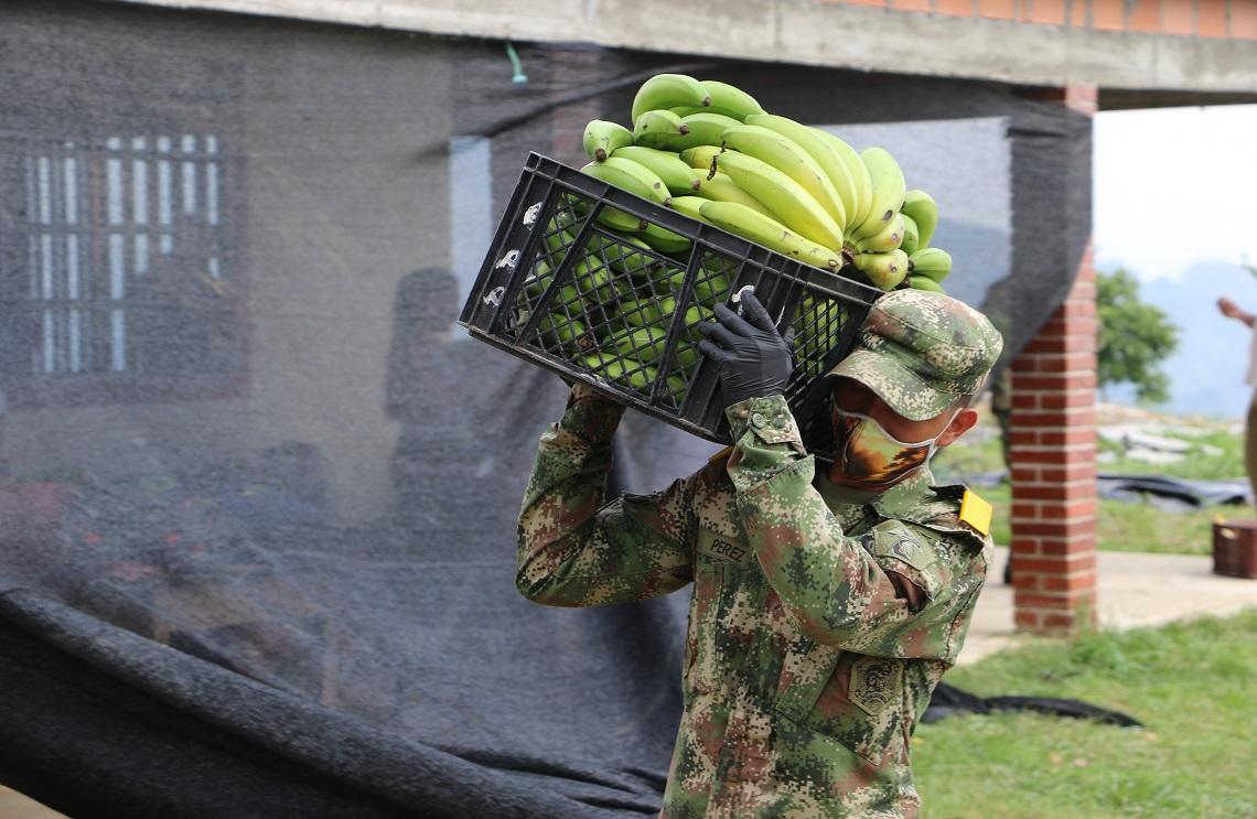 Del Campo a tu Casa, la campaña que cambió la vida de nuestros campesinos en época de pandemia