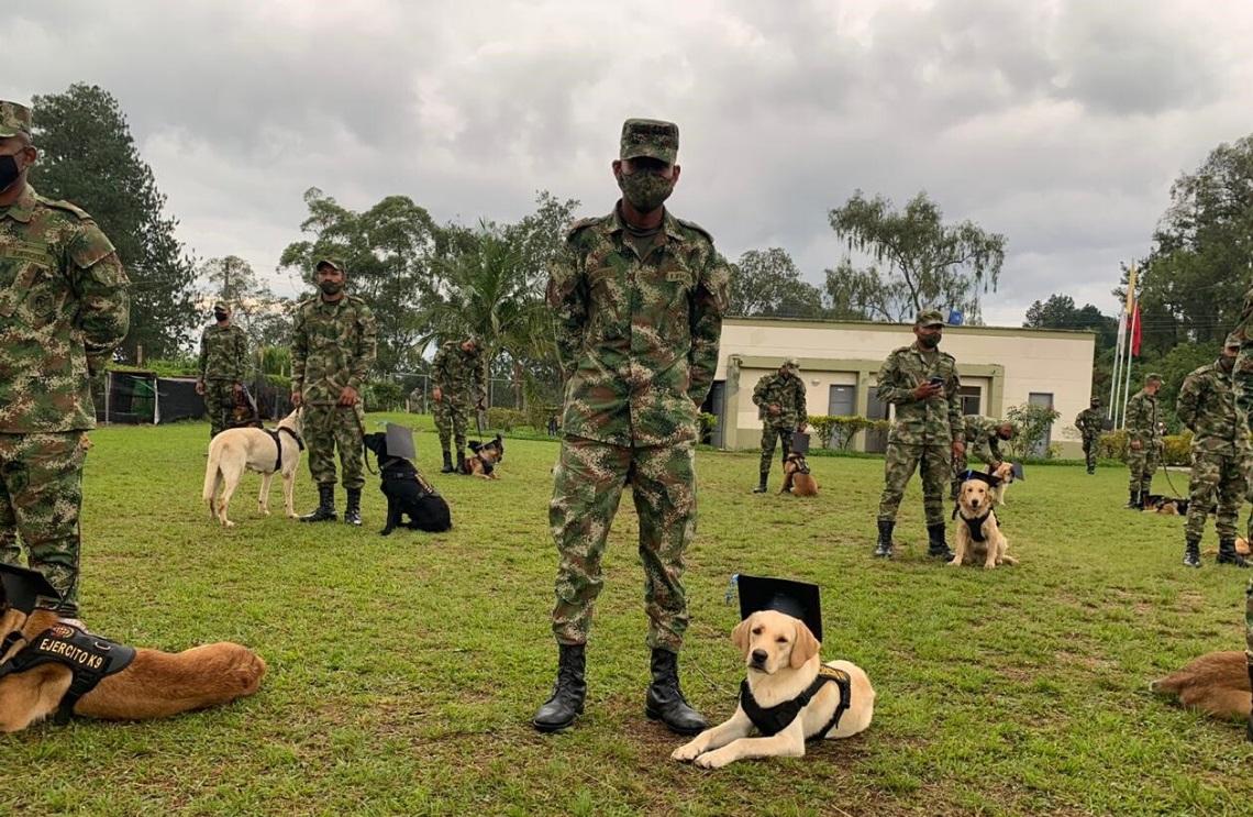 Ejército Nacional refuerza las operaciones militares con binomios caninos