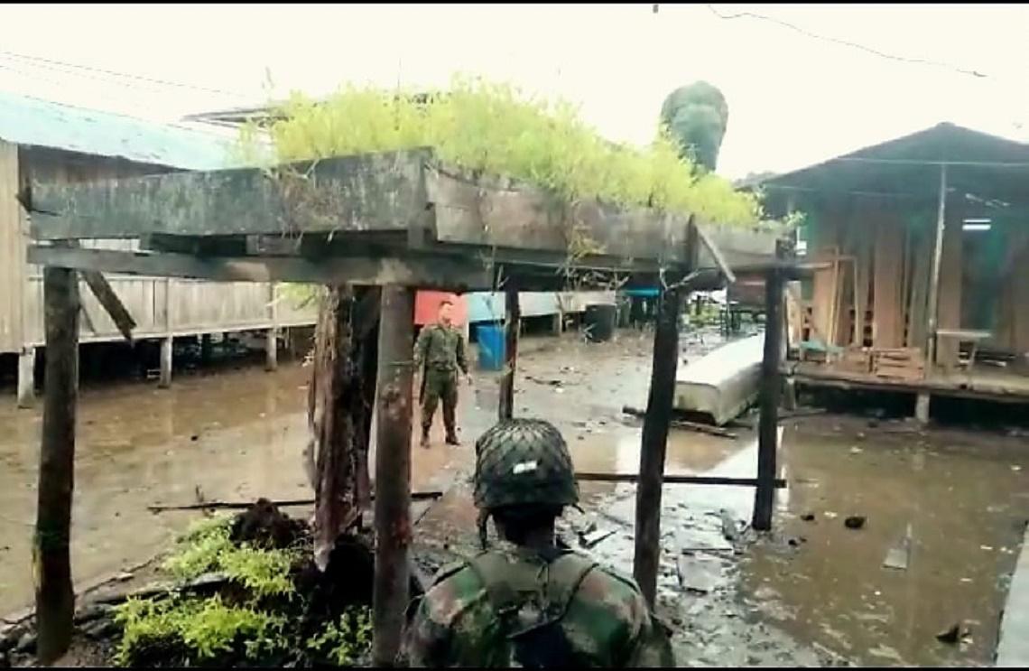 En las calles de un barrio de Olaya Herrera, Nariño fue encontrado un semillero con 12.500 plantas de hoja de coca