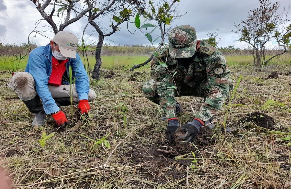 Más de 18 mil árboles han sido sembrados en Meta, Caquetá y Guaviare