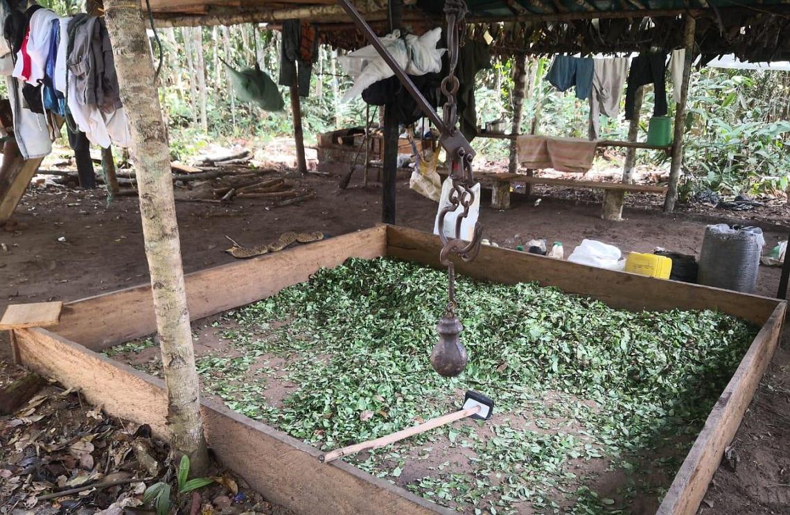 Fuerzas Militares afecta finanzas del GAO Eln, en Cumaribo, Vichada