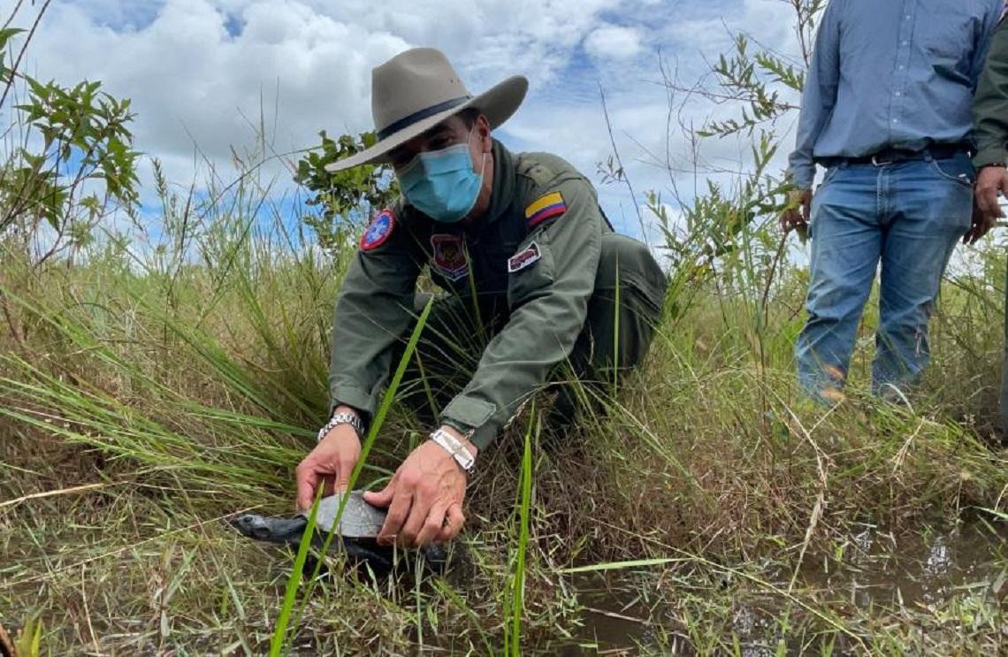 Especies silvestres son devueltas a su habitad natural con el apoyo de la Fuerza Aérea Colombiana