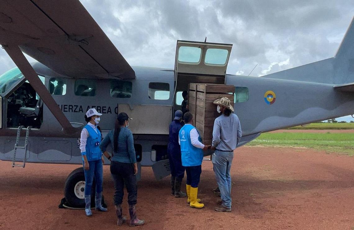 En Vichada, Fuerza Aérea Colombiana libera cerca de 100 animales de especies silvestres 
