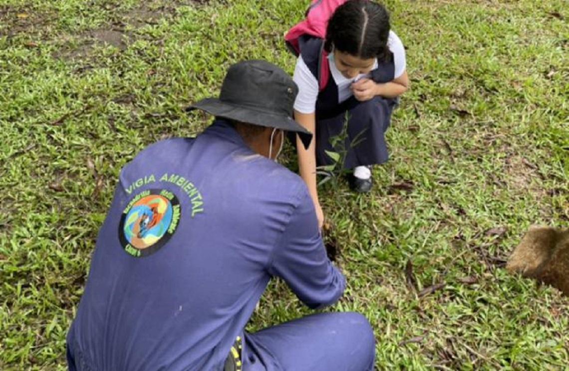 Fuerza Aérea Colombiana lidera Jornada de reforestación en Caquetá