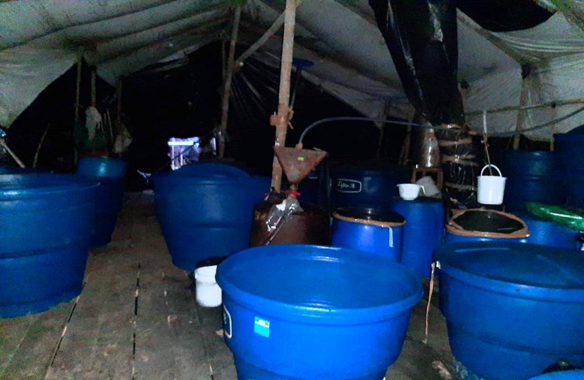 Fuerzas Militares y Fiscalía continúan lucha contra el narcotráfico en el Cauca