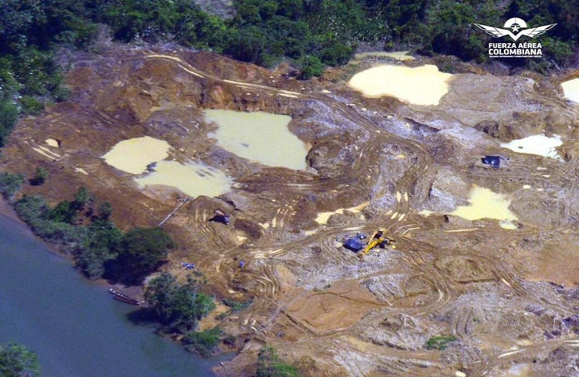 Recuperadas cien hectáreas de bosque, como resultado de operación de la Fuerza Pública