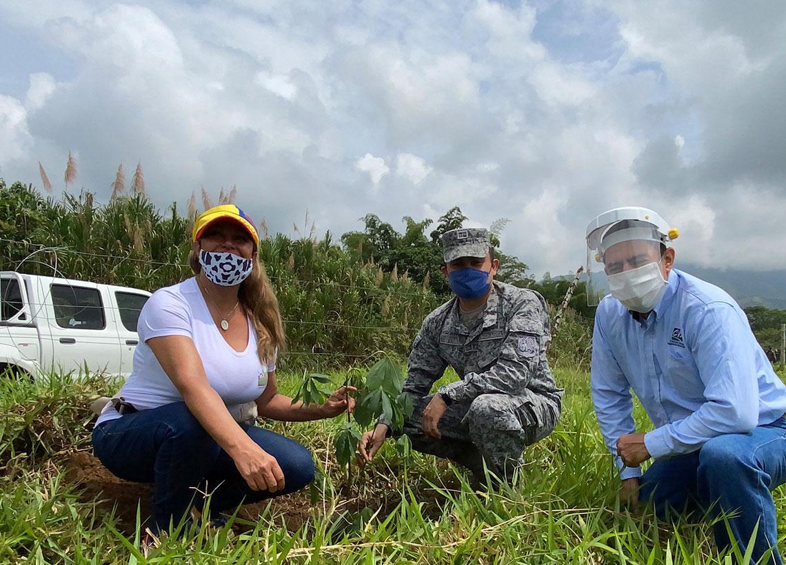 Nueva jornada de siembratón en Jamundí, Valle