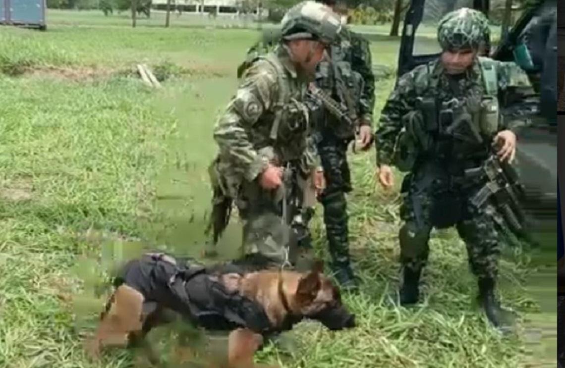 La esperanza sigue viva
