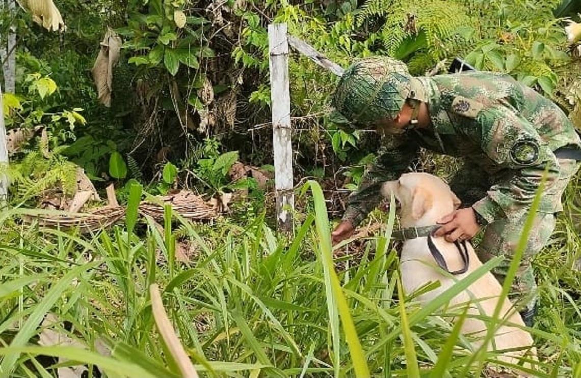 Fuerzas Militares ubicaron depósito ilegal con 11 minas antipersonal en zona de frontera con Ecuador