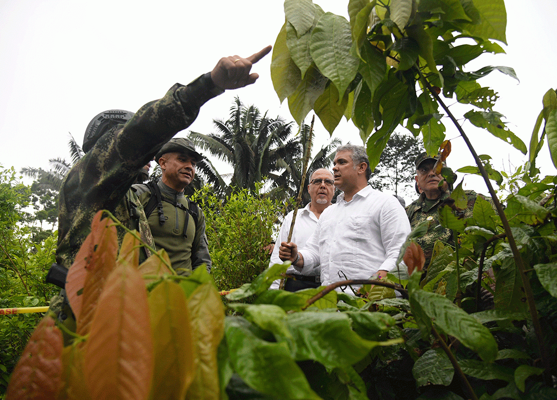 En zona rural de Tumaco, el Presidente de la República visitó a quienes adelantan estos trabajos y aseguró que pudo ver la excelente labor que están desarrollando los erradicadores manuales de cultivos ilícitos. Foto: Efraín Herrera - Presidencia