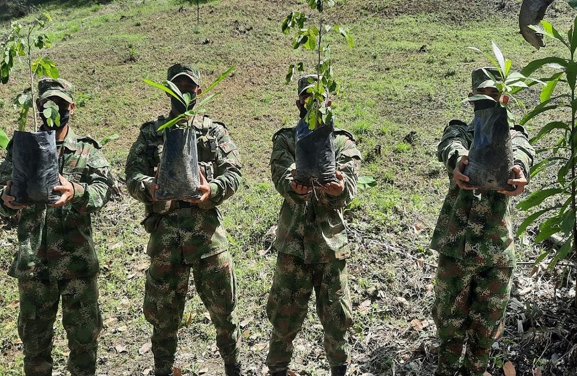 40 mil árboles han sido sembrados este año por el Ejército Nacional en el Atlántico y Magdalena