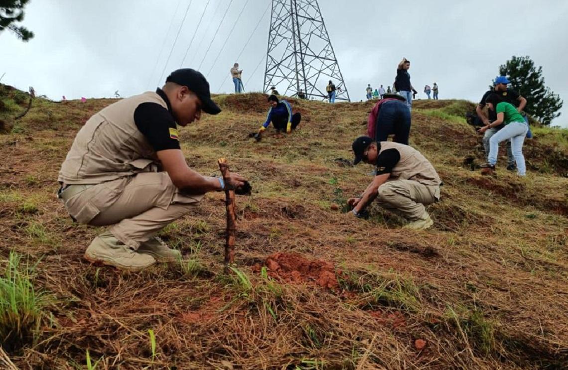 Soldados del Ejército Nacional sembraron más de 4.000 árboles en el Valle del Cauca 