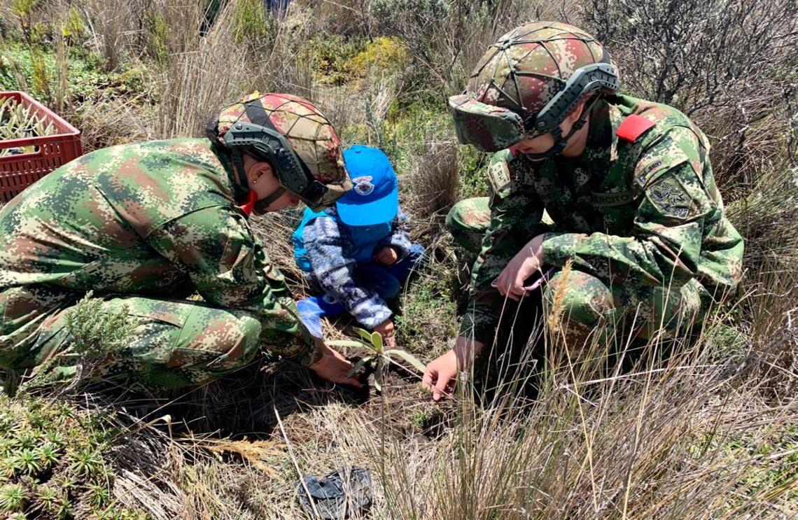 Ejército hace un relevo generacional para proteger los frailejones en Caldas