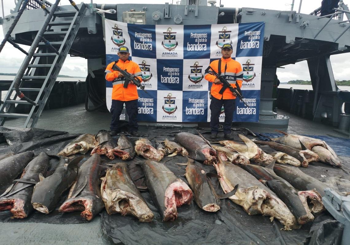 Pesca ilegal