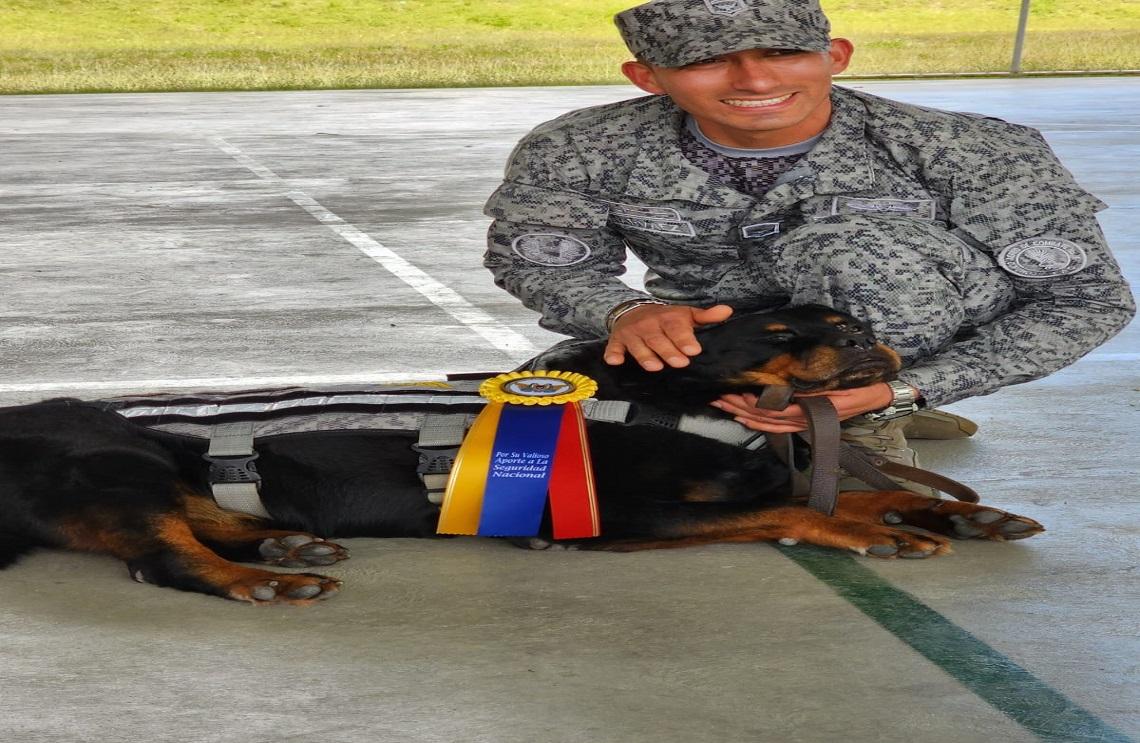 Se Despide con Honores una Canino Militar de la Fuerza Aérea Colombiano 