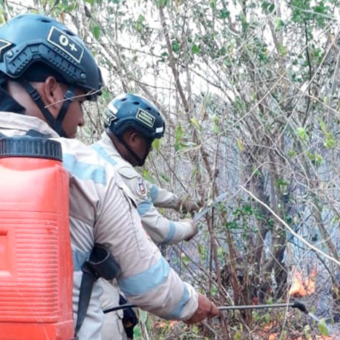 Armada de Colombia controla incendio forestal en San Jacinto, Bolívar