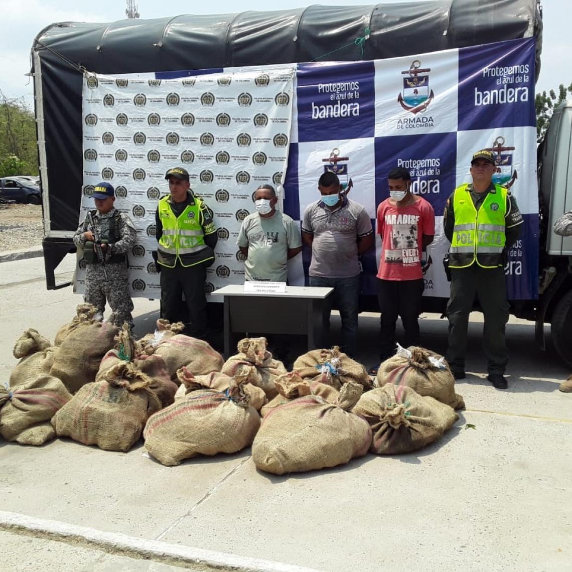 Armada de Colombia recupera tortugas hicoteas en Bolívar