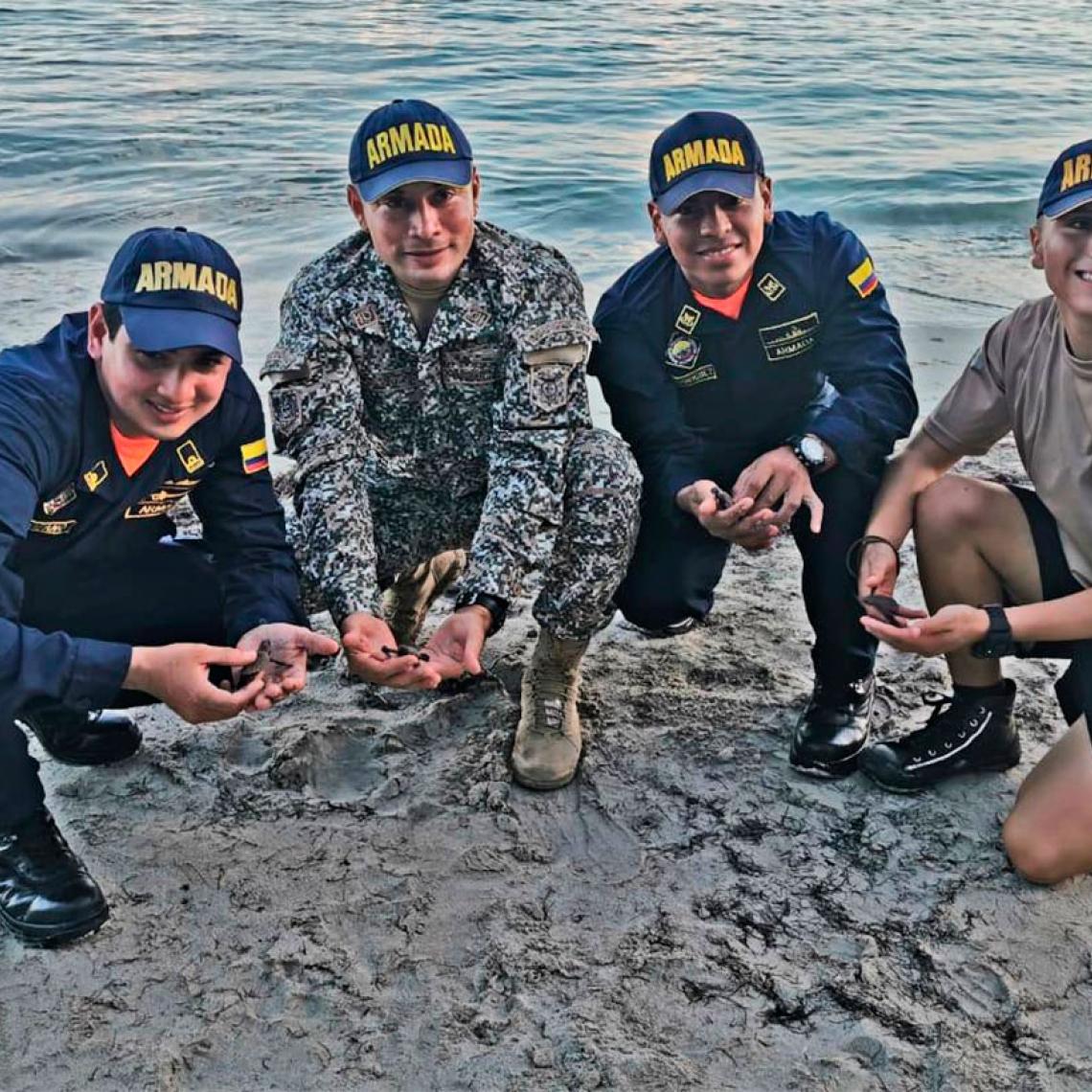 82 tortugas marinas vuelven al mar en Providencia
