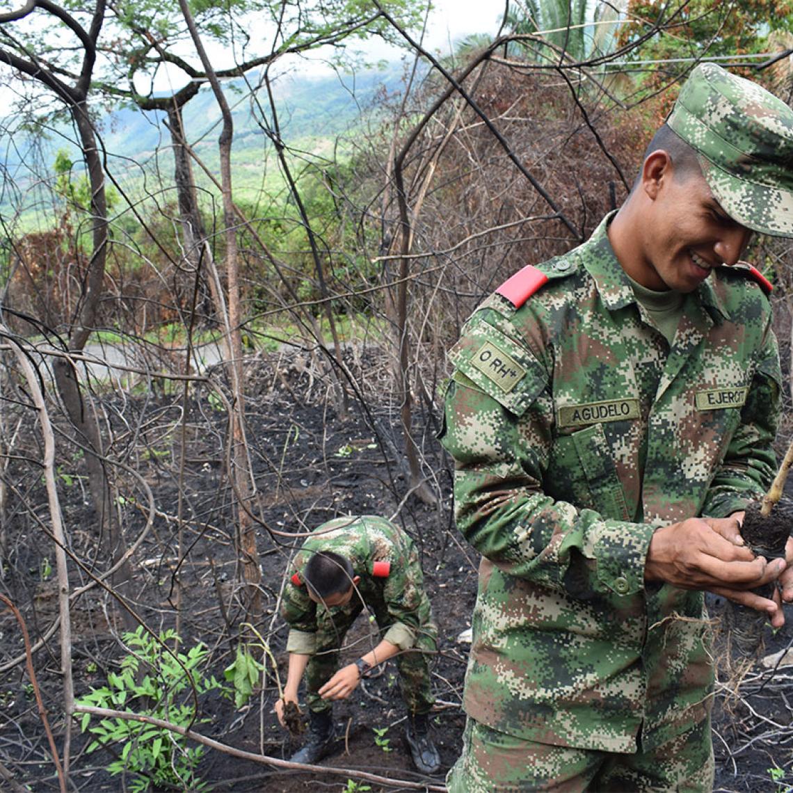 La Escuela de Soldados Profesionales reforesta área afectada por incendio forestal