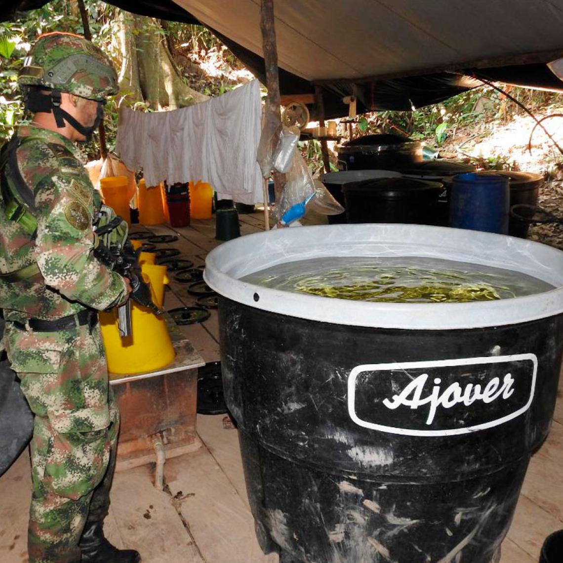 Ejército halla complejo cocalero avaluado en más de 5.000 millones de pesos en Norte de Santander