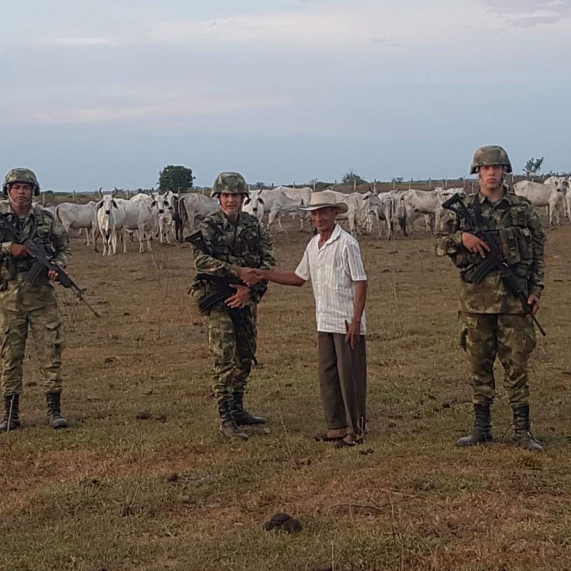 Ejército Nacional, recupera 24 semovientes hurtados, en Cravo Norte, Arauca