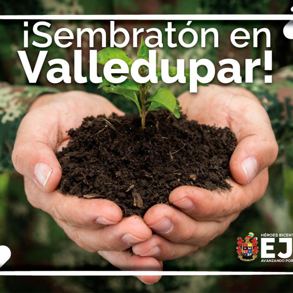 Ejército Nacional impulsa sembratón de árboles en Valledupar
