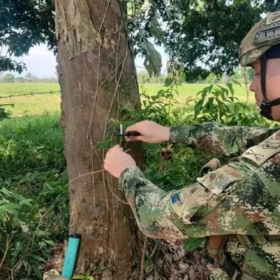 Ejército Nacional desmantela un depósito ilegal y tres áreas minadas en Arauca