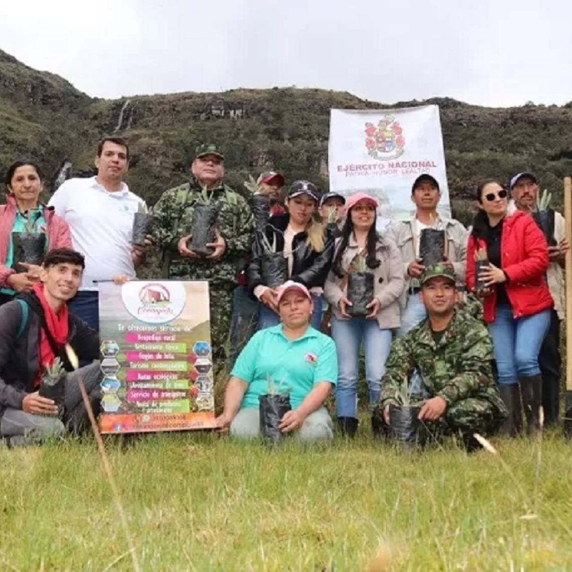 Ejército Nacional siembra más de 500 frailejones en el páramo del Almorzadero