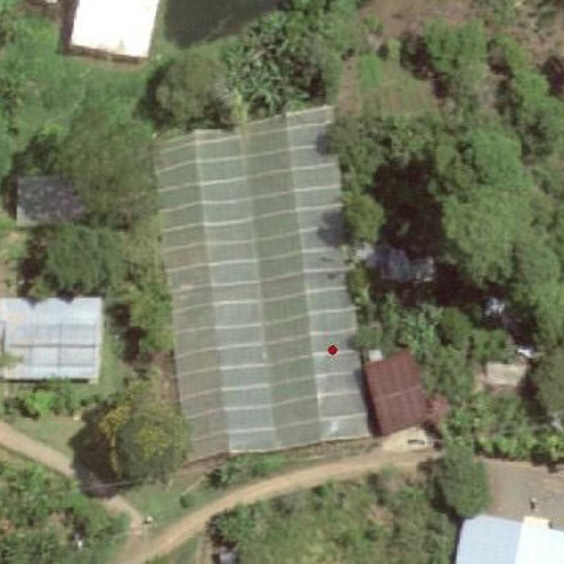 Incautadas más de dos toneladas de marihuana en operación de la Fuerza Pública