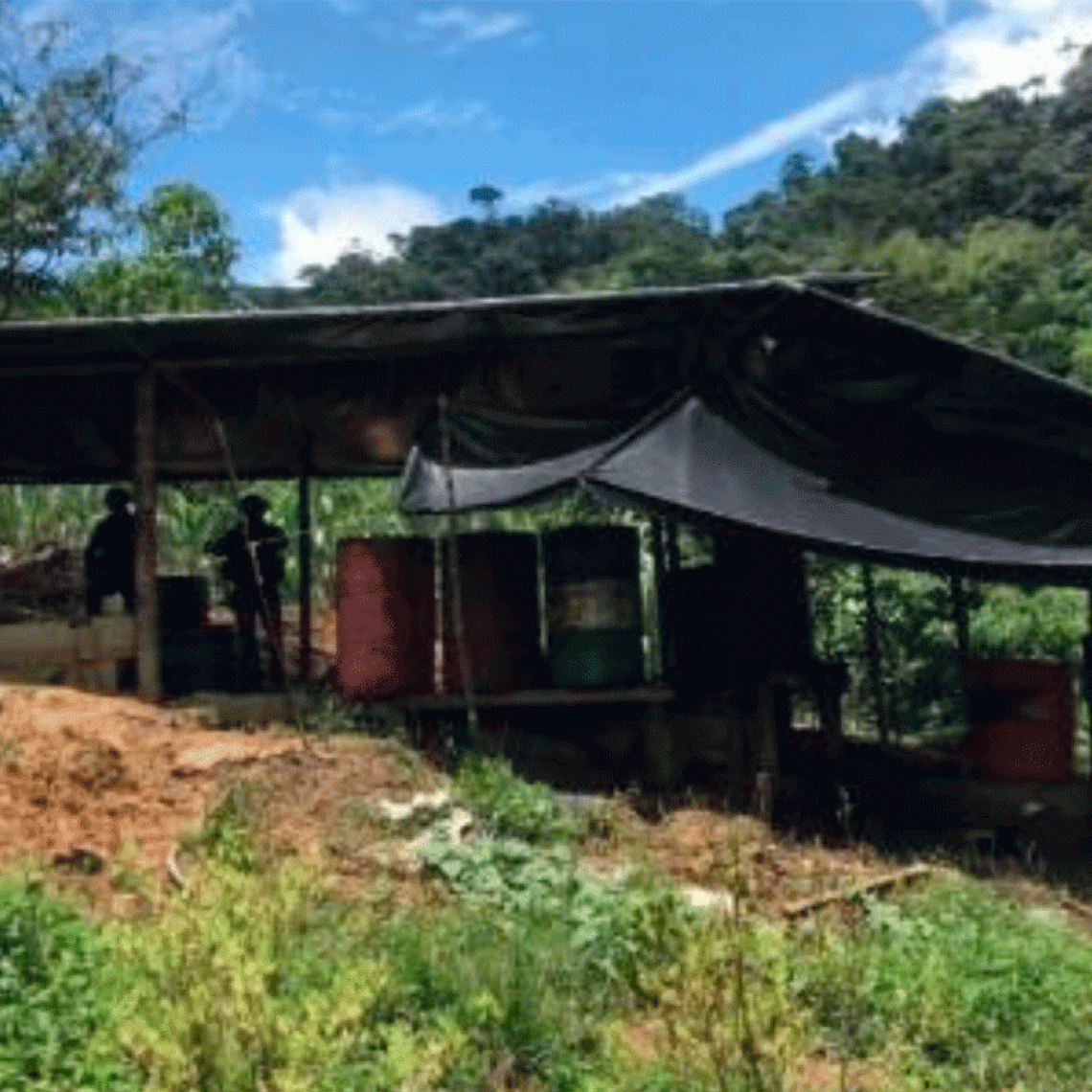 Diez laboratorios para el procesamiento de pasta base de coca fueron destruidos en Chocó
