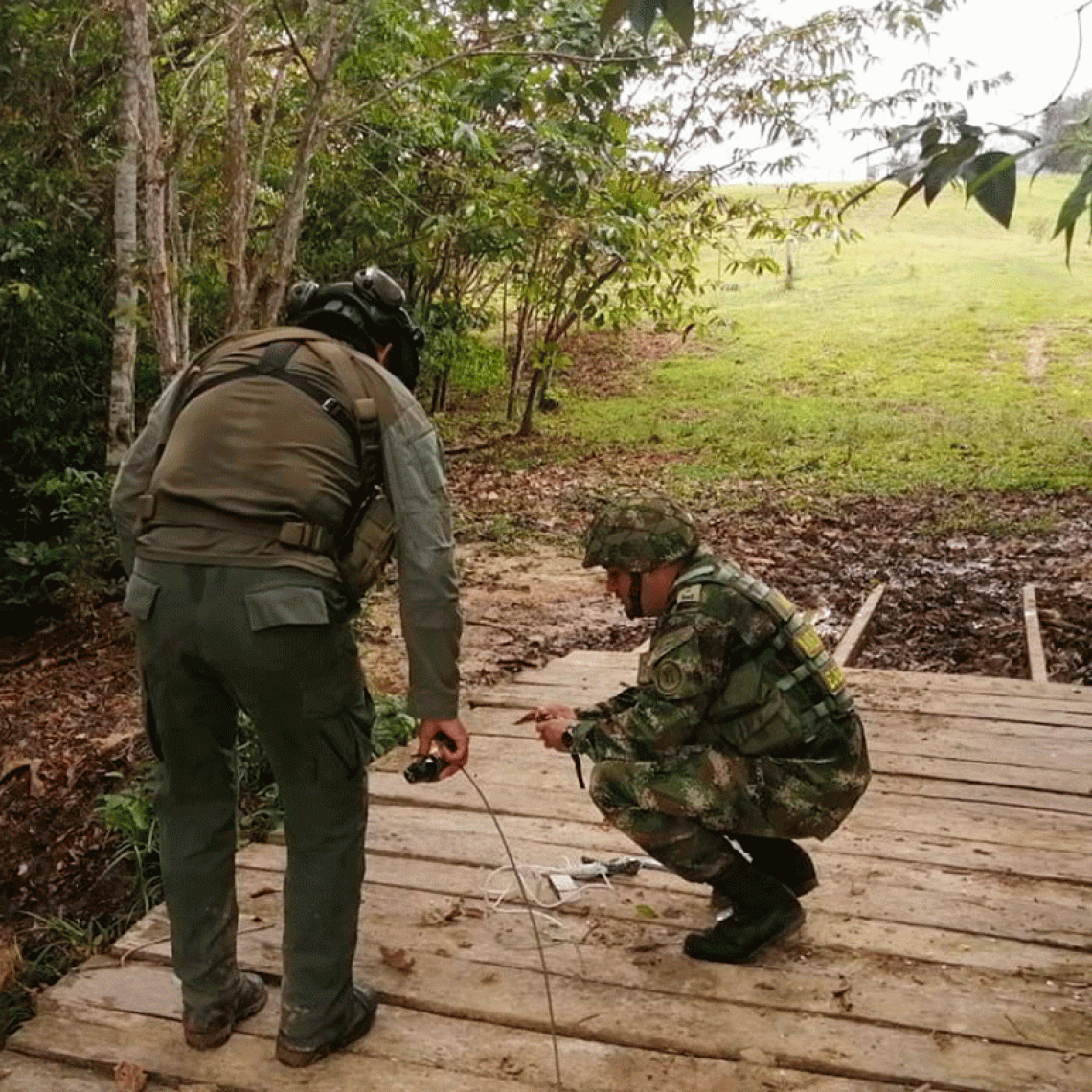 Controladas 1.500 hectáreas del Parque Natural La Paya que fueron deforestadas
