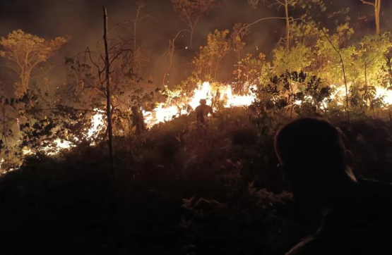 Controlado incendio forestal en Gramalote