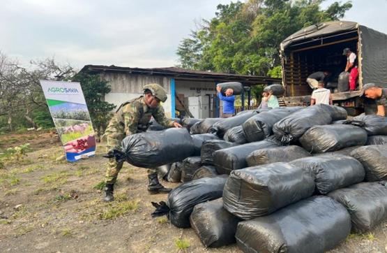 Ejército Nacional apoya Antiguos Espacios Territoriales de Capacitación y Reincorporación con el transporte de 12 toneladas de forraje para ensilaje de alimentación de ganado
