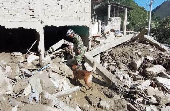 Fuerzas Militares despliegan sus capacidades en apoyo a los organismos de socorro en la emergencia de Quetame, Cundinamarca