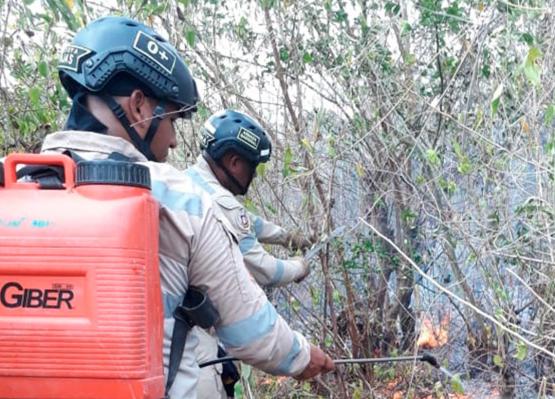 Armada de Colombia controla incendio forestal en San Jacinto, Bolívar