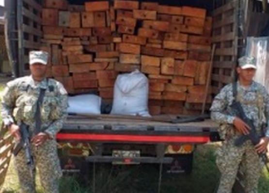 Armada de Colombia incauta madera que habría sido extraída de forma ilegal en la amazonía