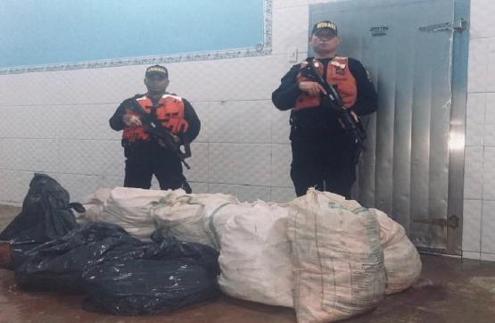 Armada de Colombia incauta más de media tonelada de pescado contaminado con mercurio en el Amazonas