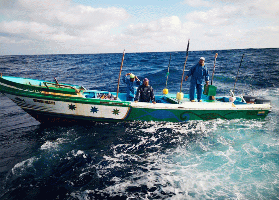 Armada de Colombia incauta más de una tonelada de pesca ilegal en aguas del Pacífico colombiano