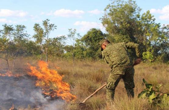 Armada de Colombia apoya organismos de socorro en el control de incendios forestales