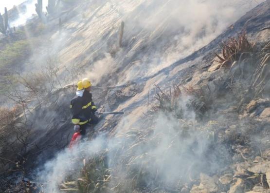 Controlado incendio forestal en el sector de Isla Morro - Santa Marta