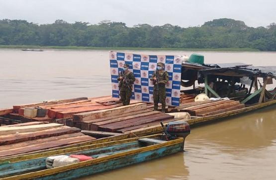 Armada de Colombia y Ejército incautan 129 metros cúbicos de madera en Chocó y Antioquia