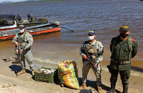 Armada de Colombia incauta 370 kilogramos de pescado en Vichada