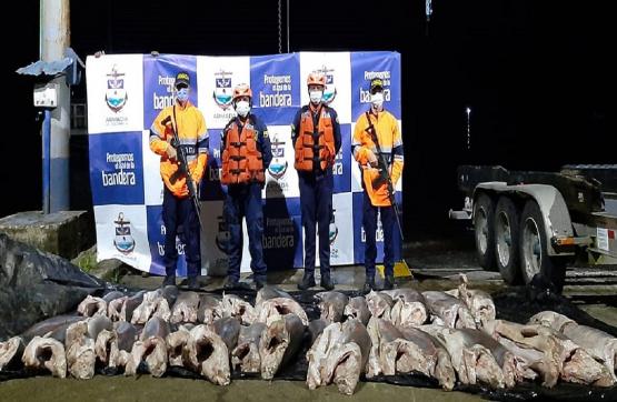 Armada de Colombia incauta 900 kilogramos de tiburón en Bahía Solano, Chocó
