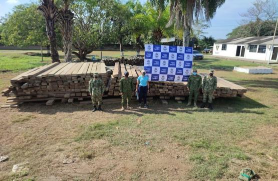 Fuerzas Militares incautan 472 listones de madera en Nechí, Antioquia