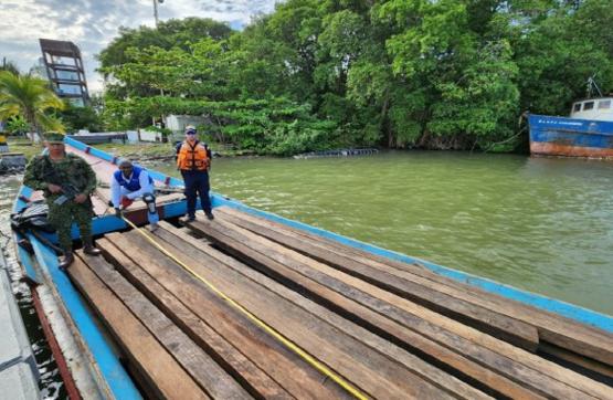 Armada de Colombia incauta madera nativa transportada de forma irregular, en el Golfo de Urabá