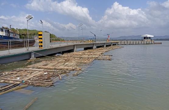 Armada de Colombia incauta más de 300 bloques de madera nativa en el Golfo de Urabá