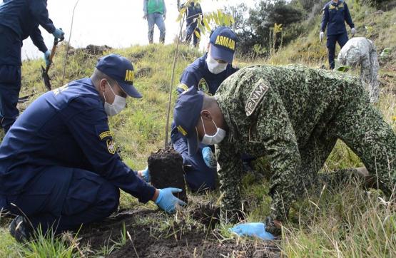 Armada de Colombia participa en sembratón de árboles para reverdecer Bogotá